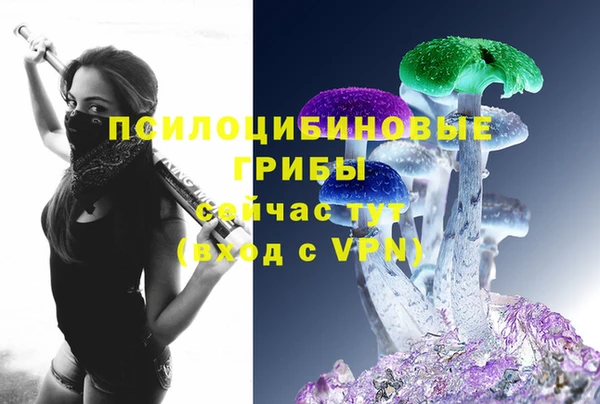 амф Балахна